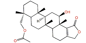 19-Acetylsesterstatin 3